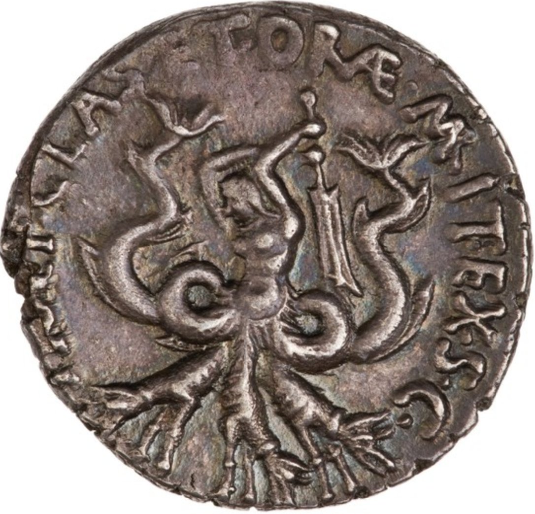 But it's the Reverse that shines here, with a glorious representation of Scylla and a Legend that again speaks of Pompey's official position: PRAEF(ectus)·CLAS(ssis)·ET·OR[AE·MARIT(ae)·EX·S(enatus)·C(onsultum)] - 'Prefect of the Fleet and the Sea Coast, by decree of the Senate'