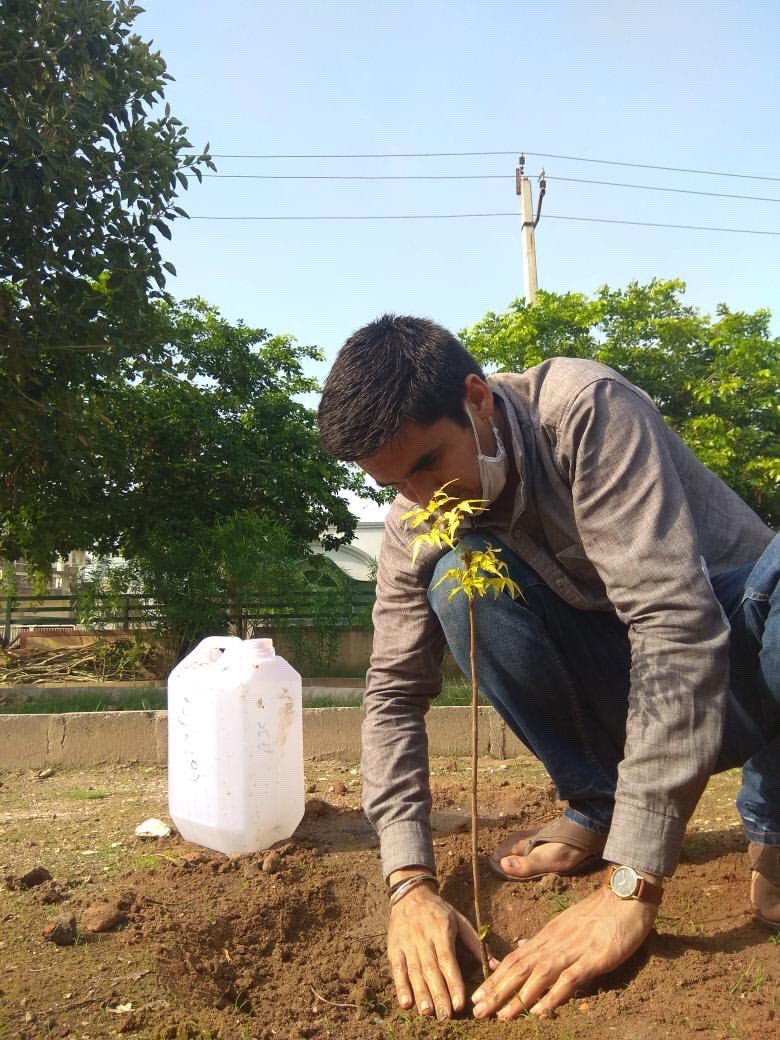 aditiraval's tweet image. They all have been doing amazing work since I started the season initiative #MyBabyTree which is not only about plantation but also about taking care of it... July is the best month for tree 🌳 plantation 🌱 people are consistent in this amazing work ❤️lots of love 🦋🌳🌱🌲