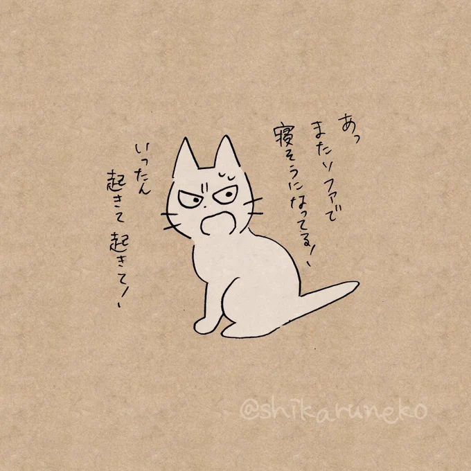 意図せぬ寝落ちが多い人を叱ってくれる猫 