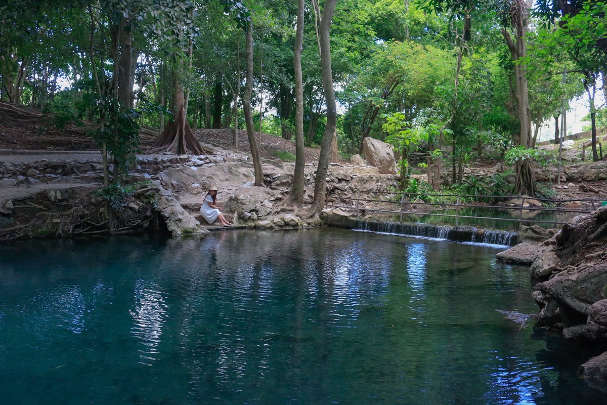 alifeatraveller's tweet photo. น้ำพุธรรมชาติบ้านท่าช้าง เขาใหญ่
เปิดให้เที่ยวแล้วนะ
เที่ยวแบบห้ามเล่นน้ำ
เพราะฉะนั้นคนเลยยังน้อย ไม่พลุกพล่าน
เป็นเรื่องดีงามสำหรับคนชอบถ่ายรูป
บรรยากาศดีเลยแหละ
ไม่ใช่หลังโควิด ไม่ได้ภาพแบบนี้นะเนี่ย
#วันธรรมดาน่าเที่ยว #WeekdaySpecial #ReviewThailand https://t.co/KrKxXWWkaA