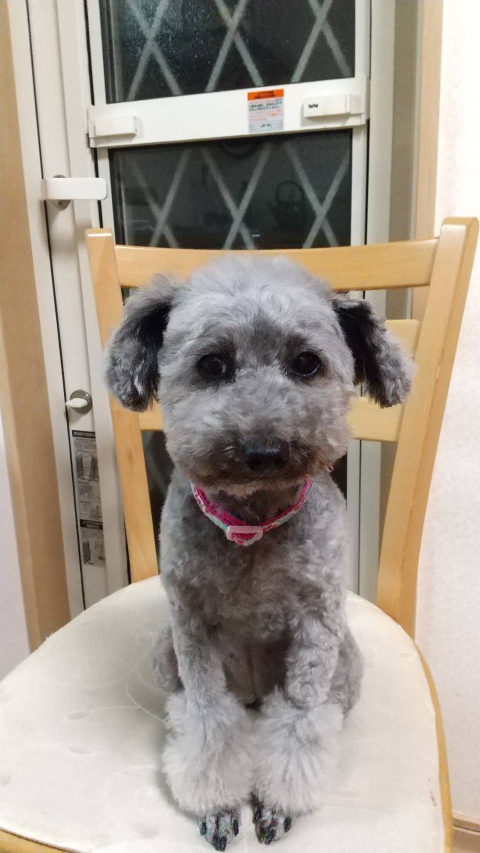 あこ Sedadgjmptwadgj Twitter