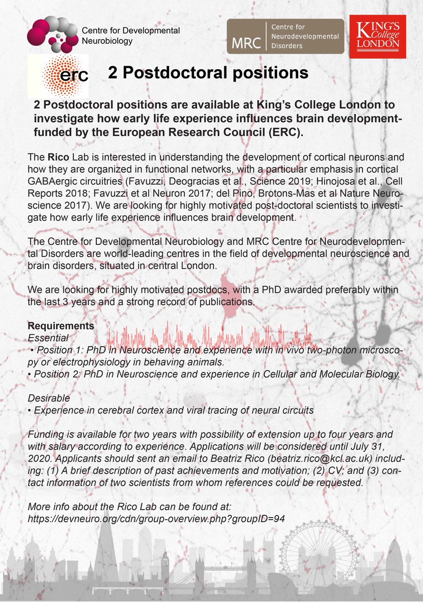 Rico_lab's tweet photo. Why is it easier to learn new skills early in life? Postdoc positions open #ERC funds. I am looking for highly motivated post-doc scientists to investigate how early life experience influences brain development.
Experience: 2-P/ephy in vivo or Molecular Biology. 

Please RT! https://t.co/Q3ppix9Lgj