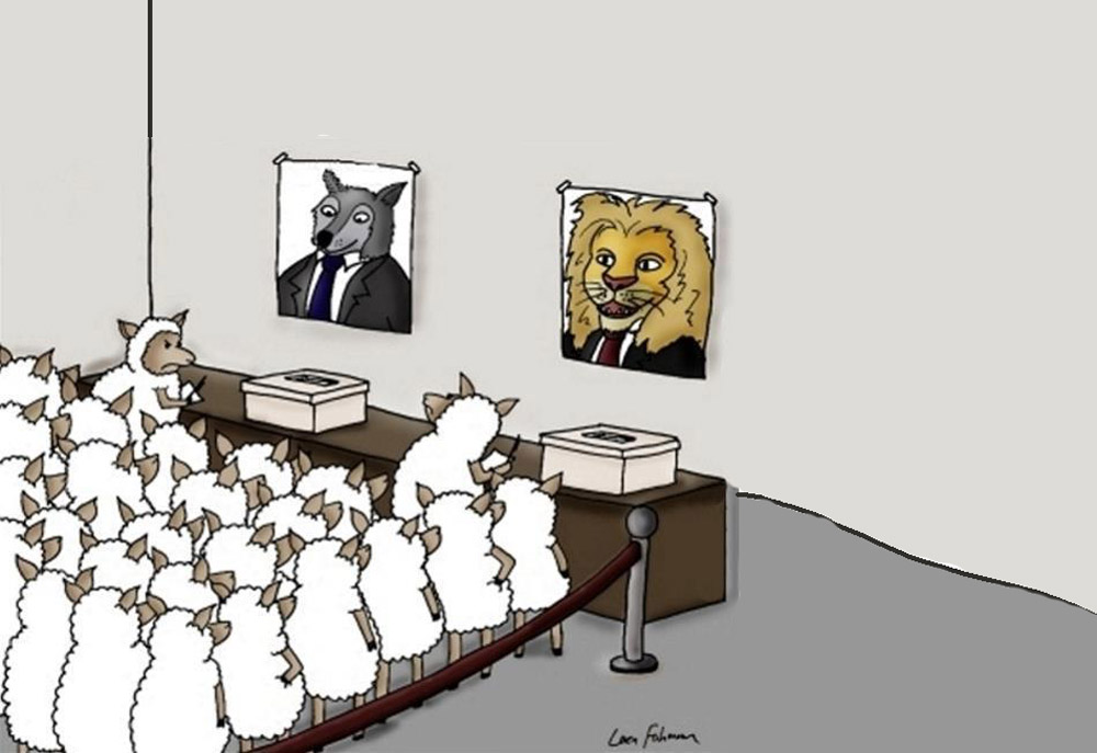 Верховенства демократии. Карикатура на выборы в США. Выборы демократия картинки.