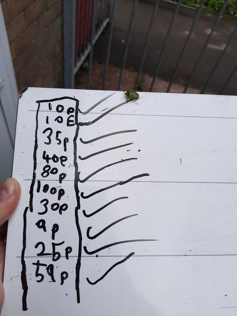 Oops! An unnecessary visitor in the Y1 class, as a shield bug came to look at Elin's maths work. #shieldbugsnotshielding #Covidguidance #thestmichaelsway @WoodlandTrust @Ignite_UP