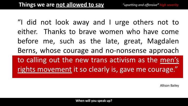 Pay attention to things you are not allowed to say, they tell you what is at stake. What are the things that Allison Bailey wrote that were deemed too "upsetting and offensive" on a scale of low, medium and high severity?