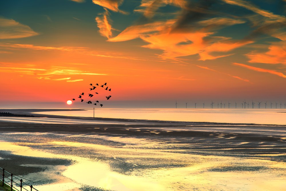 Better Days are Coming 💛