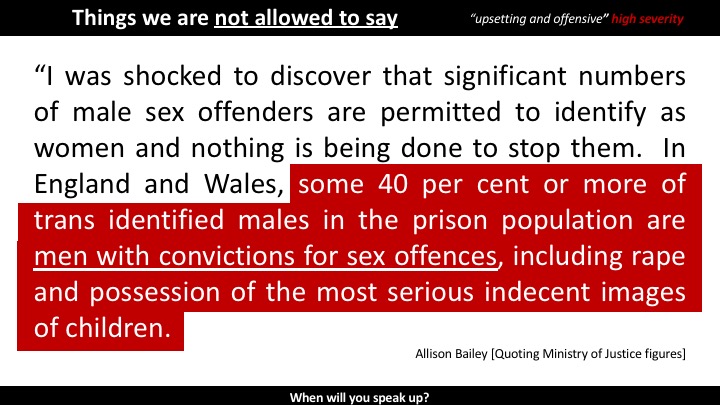 Pay attention to things you are not allowed to say, they tell you what is at stake. What are the things that Allison Bailey wrote that were deemed too "upsetting and offensive" on a scale of low, medium and high severity?