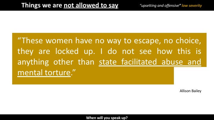 Pay attention to things you are not allowed to say, they tell you what is at stake. What are the things that Allison Bailey wrote that were deemed too "upsetting and offensive" on a scale of low, medium and high severity?