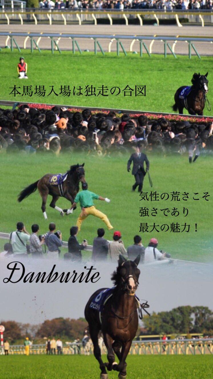 姫ちゃん🐎👸@画像加工 on Twitter: