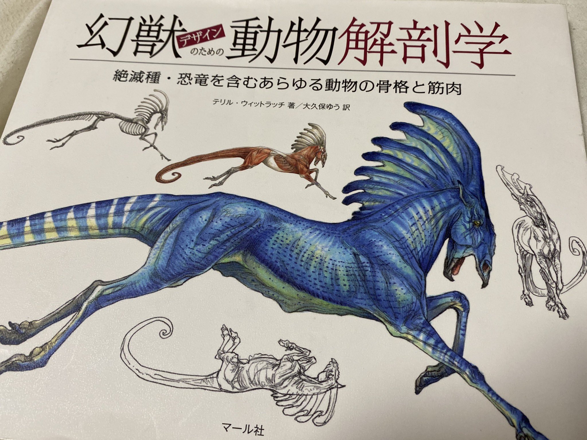 くろある モンハン好きにオススメしたい本 幻獣動物解剖学 あらゆる動物の骨格と筋肉が載っている本屋で表紙見て即買いした本 現存の動物 空想上の動物から恐竜まで凝ってデザインされていて面白い これ読む前と読んだ後では動物とかモンスターの見方も
