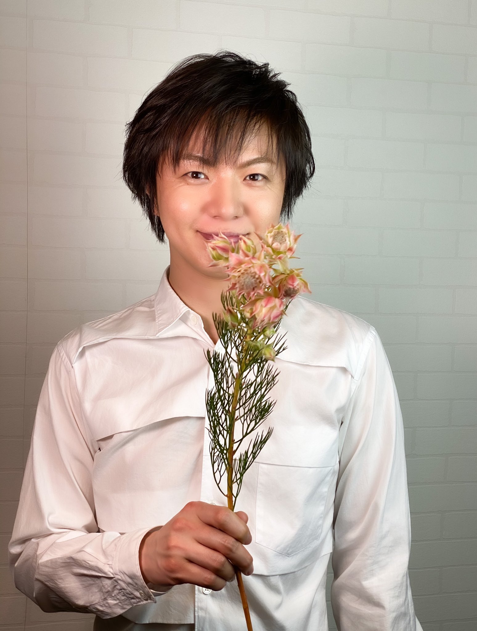 竹島宏スタッフ 公式 セルリア 花言葉は ほのかな思慕 可憐な心 原産地は南アフリカの ケープ地方です キャンディみたいな柄 が最高に可愛くてスペ シャルな花 今日も１日お疲れ様でした ひろネット 花 Flower 花言葉 花の癒し 花