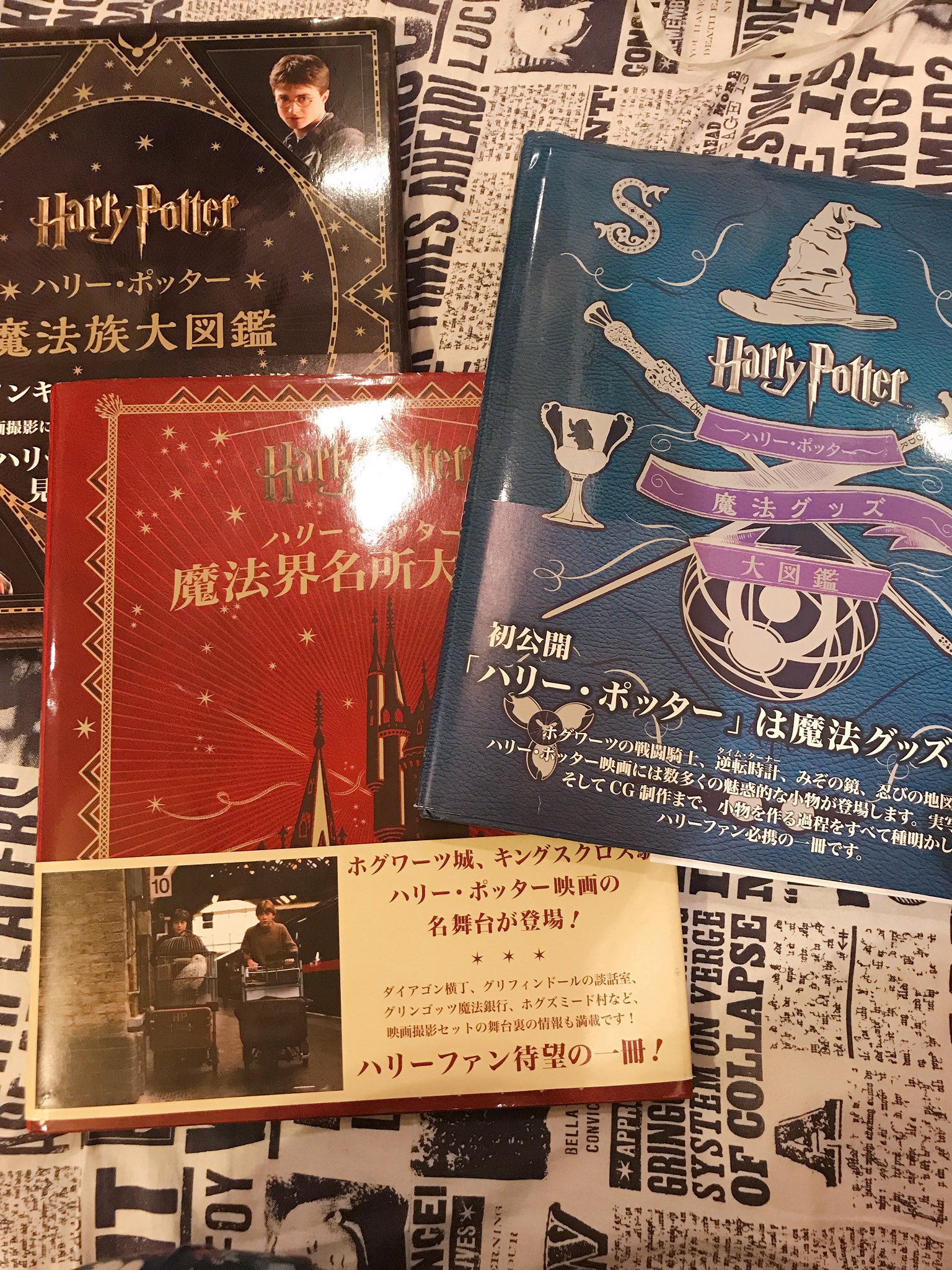 さちこ 𝗪𝗶𝘇𝗮𝗿𝗱𝗶𝗻𝗴 𝗪𝗼𝗿𝗹𝗱 この3冊は映画大全 に載ってる内容を分割してプラスa内容を付け加えた感じです 映画大全に載ってる内容では物足りない方や 映画大全は買えないけど キャラクター 小道具 魔法界 については詳しく知りたい っ