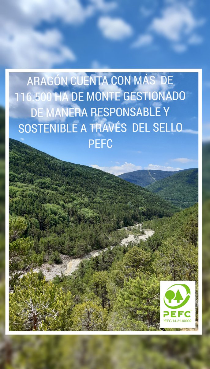 Aracert (@aracert1) on Twitter photo 