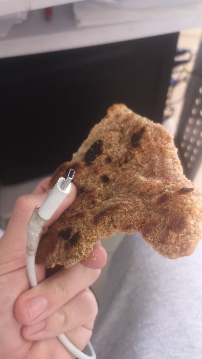Pensé que tenía el celular en la mano... CASI PONGO A CARGAR LA MILANESA