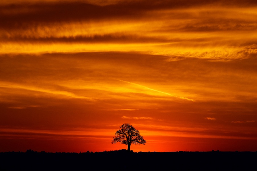 Inanna_Aussenac's tweet image. Capvespre
photo. Roman Solar