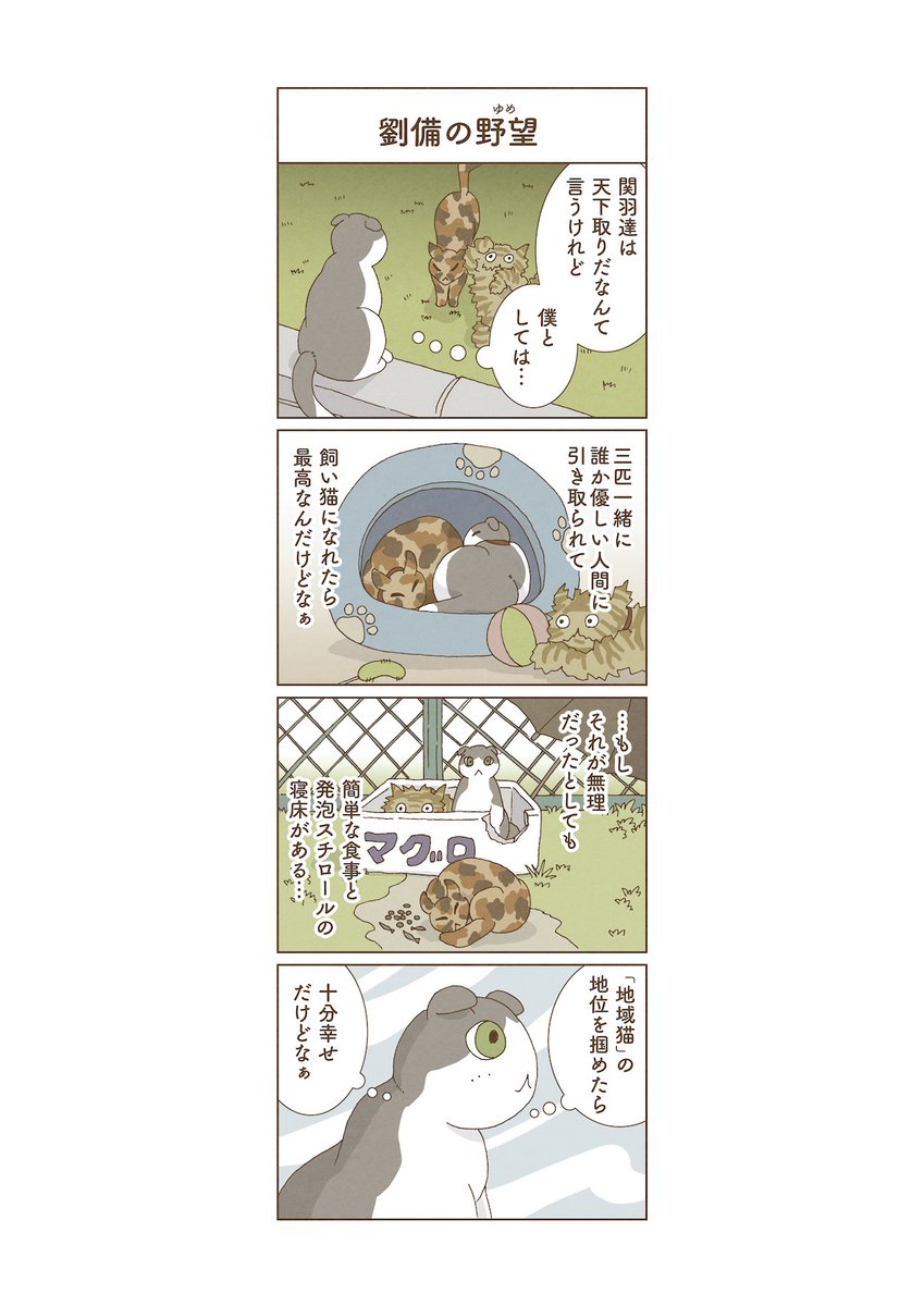 #野良猫三国志演義
その4 