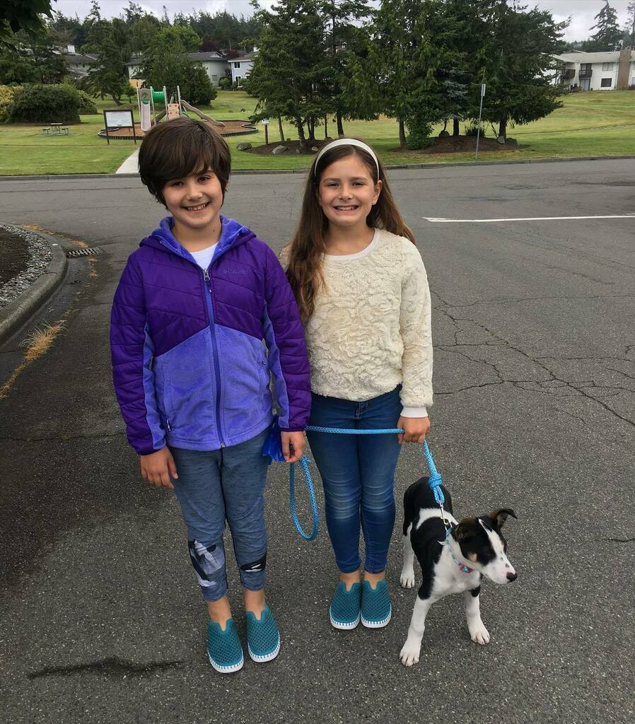 tidesanacortes's tweet photo. My girls can finally wear our Tulips and our custom color at that!! They can stop growing up now!❤️#tidesofanacortes #ilsejacobsen #tidesteal #tulipshoes #growinguptoofast https://t.co/R7VT4Dlb3u
