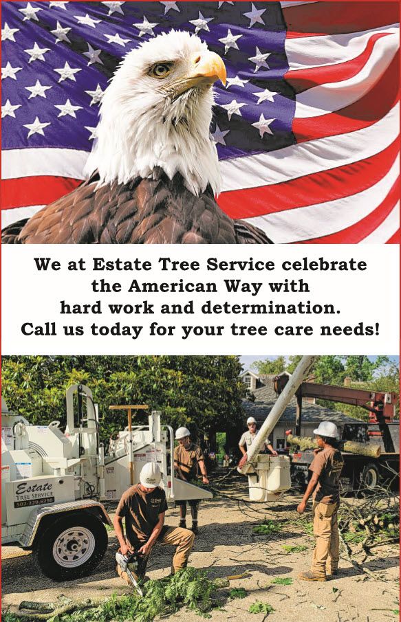 EstateTreeServ tweet picture