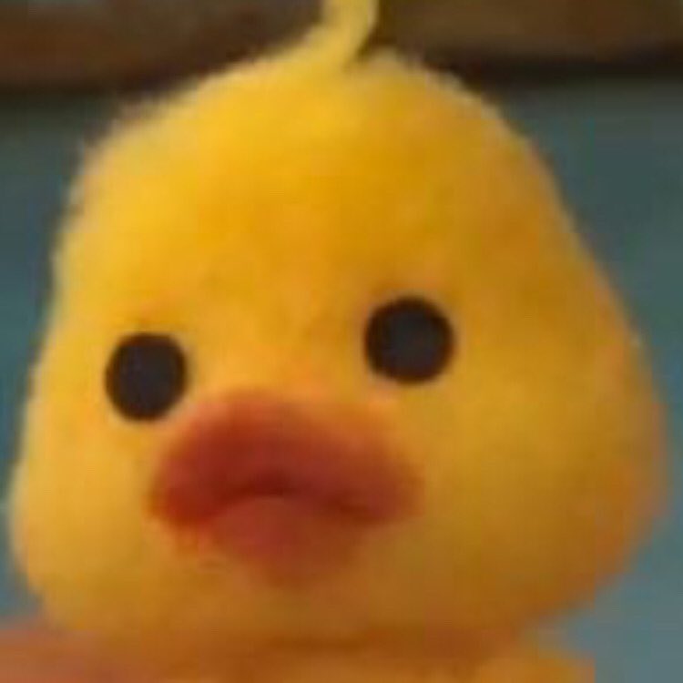 lee minho as mofy duck- a thread