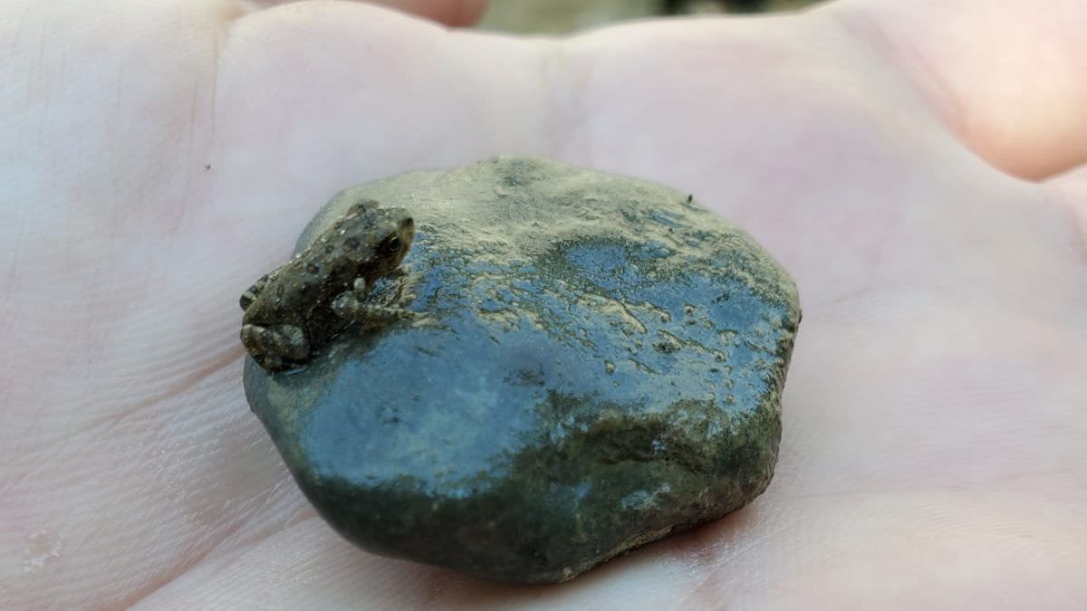 Augusto Santos Rampasso tweet media