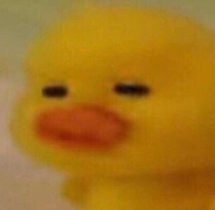 lee minho as mofy duck- a thread