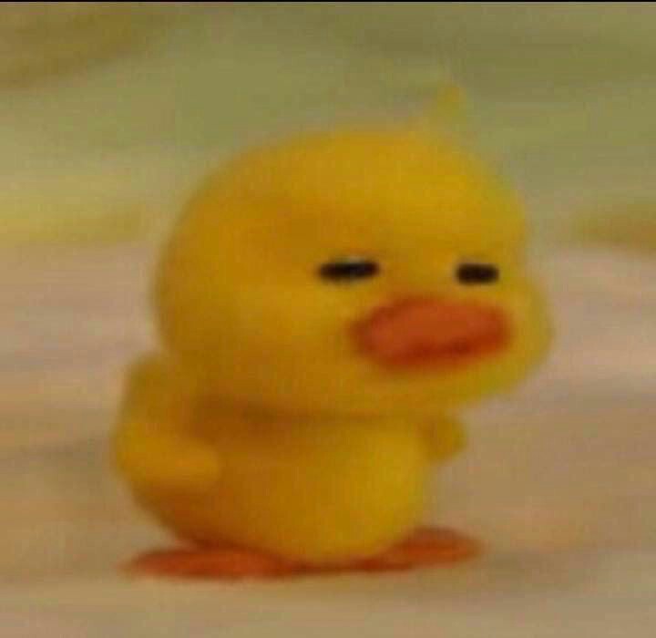 lee minho as mofy duck- a thread