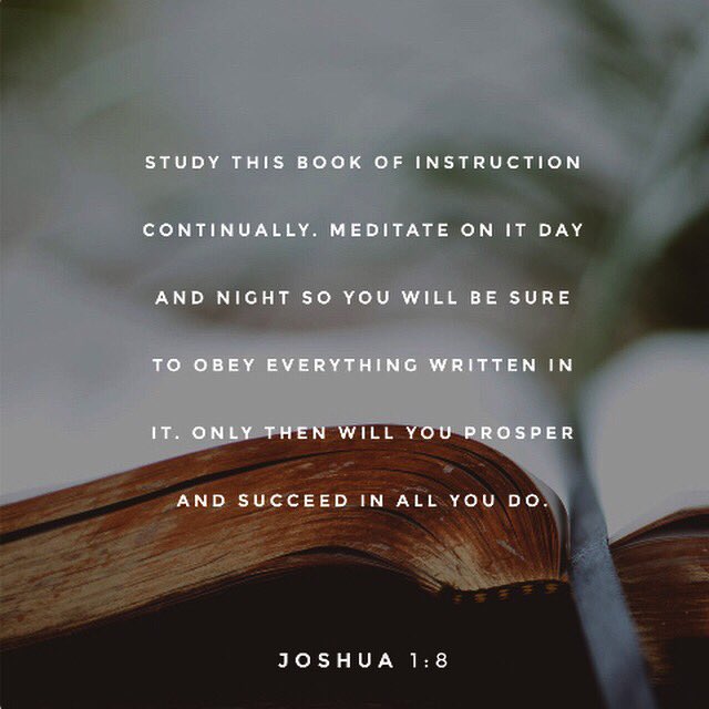 TamiHeim's tweet image. The only field guide needed. #StudyIt