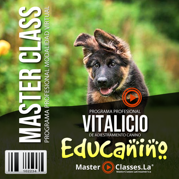 Tarjetaahorro's tweet photo. 😍 Por fin el #Curso COMPLETO de #AdiestramientoCanino que explica y enseña los fundamentos de la educación de tu perro, útil para cualquier tipo de persona que tenga un perro como su mascota 👉 https://t.co/crLyJUADIp
#Descuentos #Cupones #CodigosPromocionales #Reembolsos https://t.co/8KbLYstx8Q