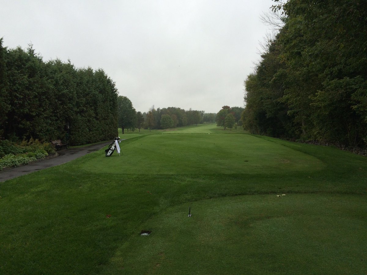 LuckyDemers's tweet photo. The benefits of tree removal. #RideauView #beforeandafter https://t.co/cYiJIszJ27