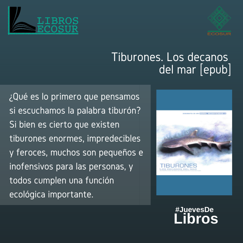 ecosurmx's tweet photo. #LibrosECOSUR 📚 #LibrosElectrónicos
La presente “biografía” nos muestra el papel que estos magníficos peces han desempeñado durante siglos en los mares del mundo.
#JuevesdeLibros
Consíguelo en 👉 https://t.co/IPVvDjYfoE https://t.co/WW8nrUB3Bl