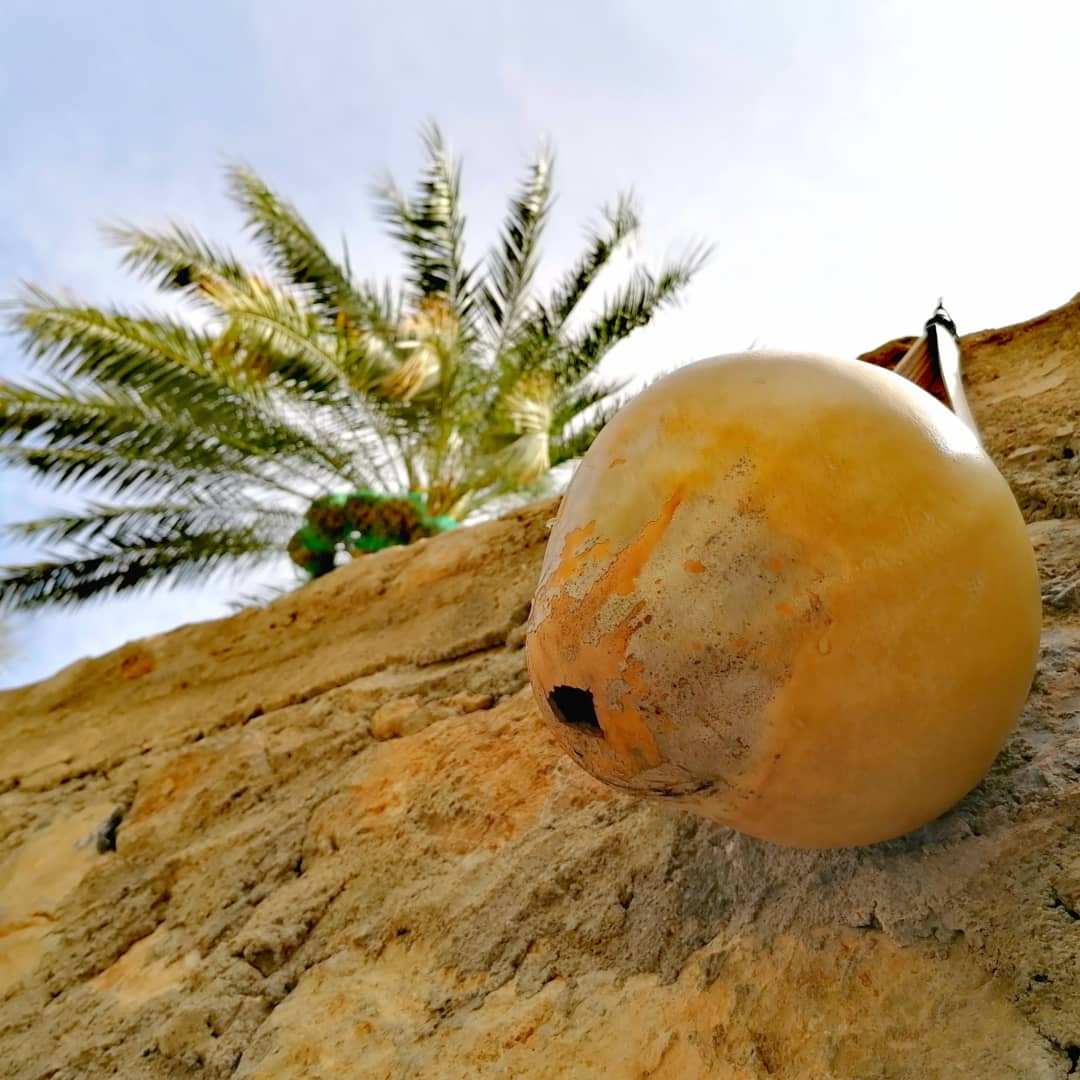 الإنسان الفطن الذكي هو من يتخطّى العقبات بحسن التدبير الذي يمنحه القدرة على أن يكون مستعدًا لمواجهة الأزمات، ثابتًا أمام التقلّبات..