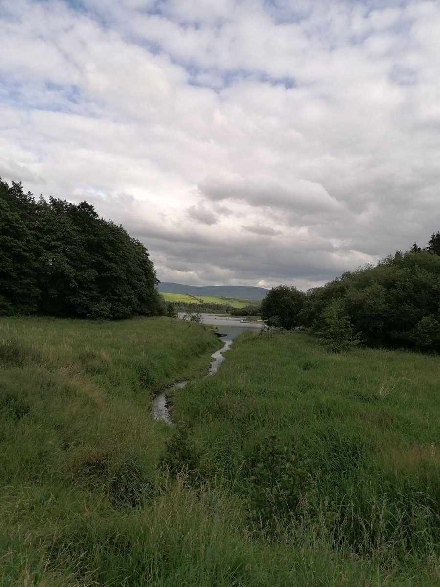 Meadhbh96's tweet photo. The blessington Greenway 😍😍 @BlessGreenway @visitwicklow
#blessington #greenway #explore #exploreireland #explorewicklow #walkingthroughthecrisis #100daysofwalking #eveningstrolls #wicklow #sonasabhaile https://t.co/NBeJA6HFSJ