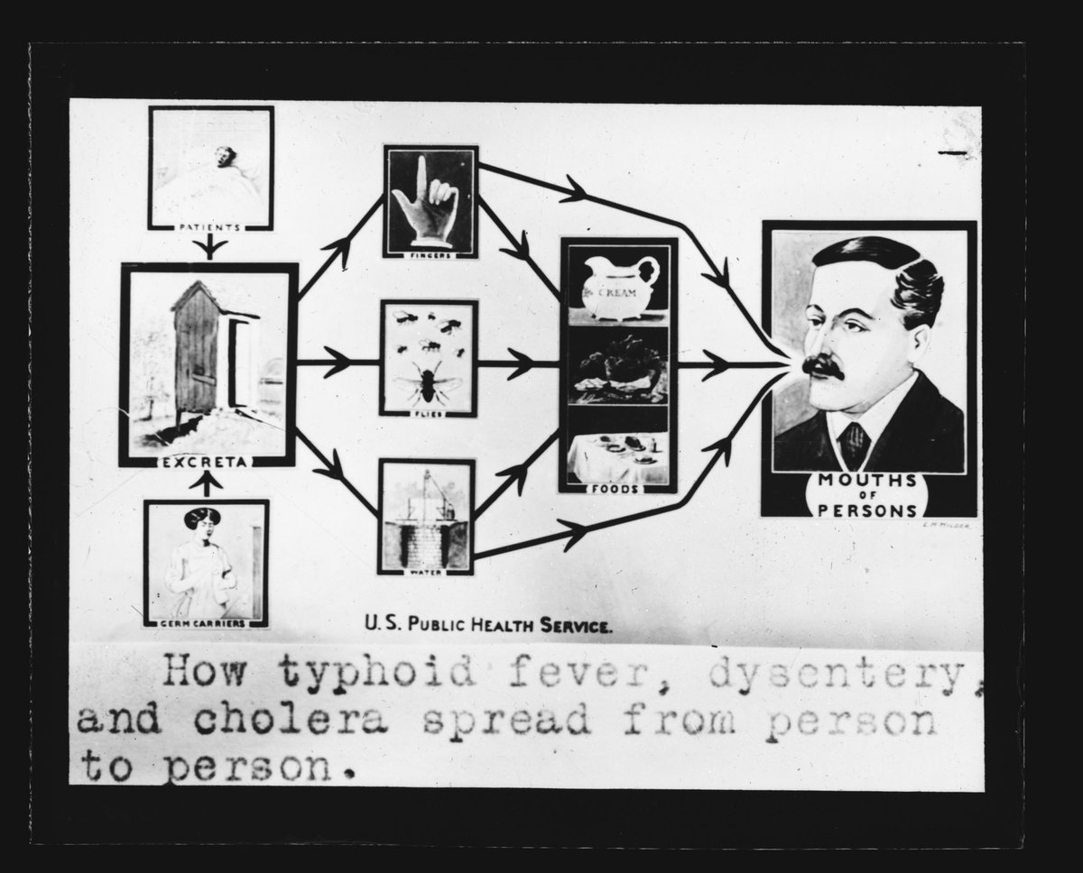 How typhoid, dysentery and cholera spread from person to person. Created/published c.1919-29, glass negative from #libraryofcongress #uspublichealthservice #publichealth #diseasetransmission #typhoid #cholera #dysentery #excreta #historymatters #scienceisreal #flies #COVID19