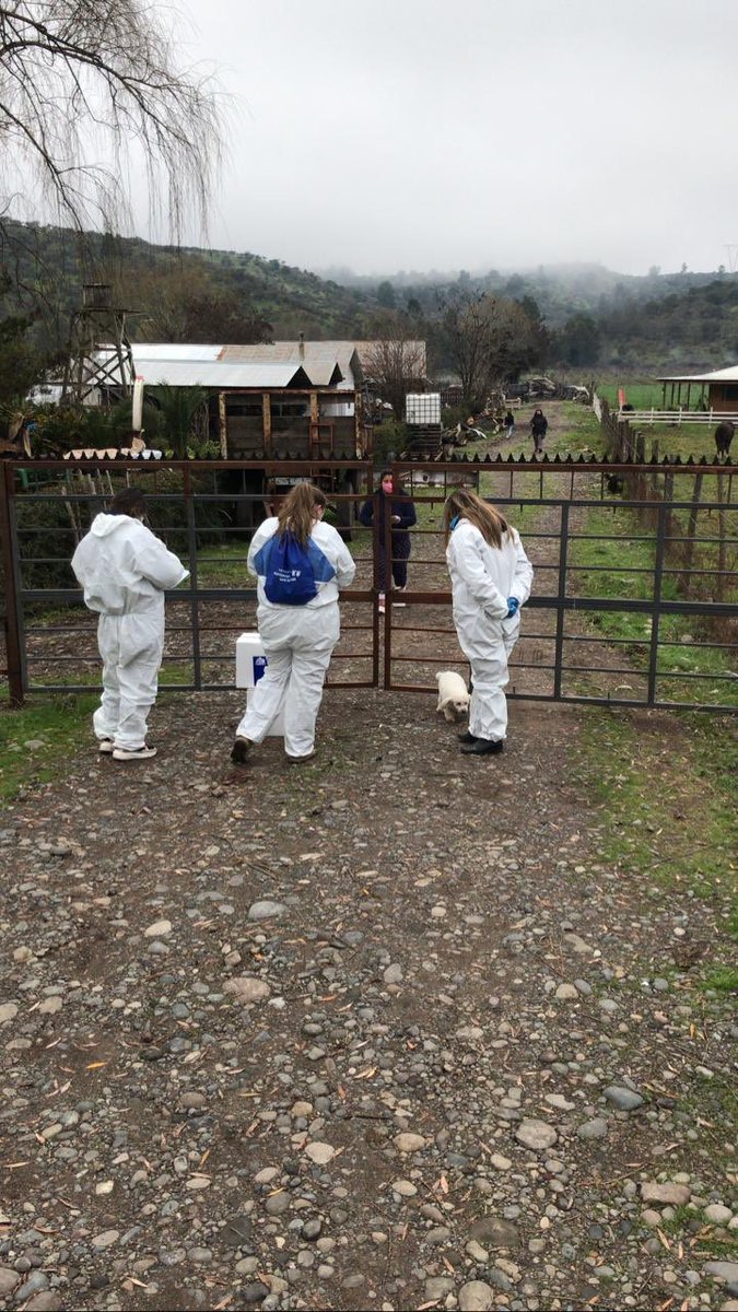 DAEM Curicó tweet media