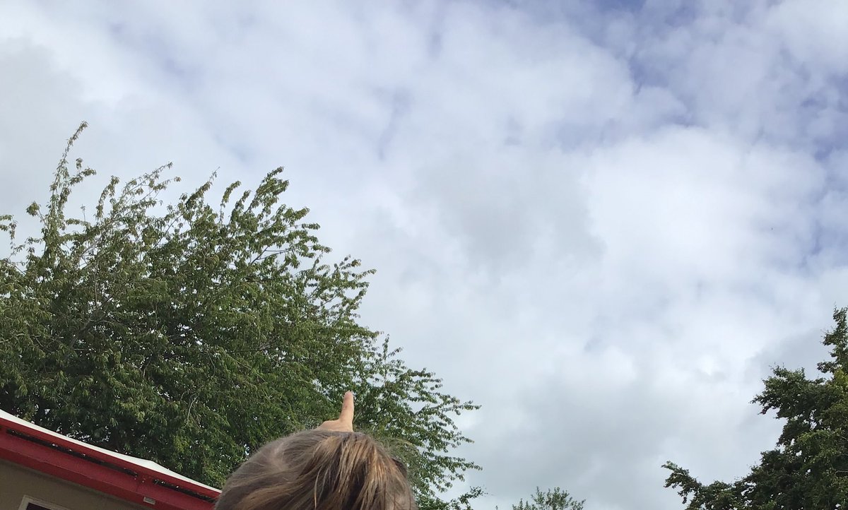 GalfridEYFS's tweet photo. This week in EYFS we have been learning about water. We have been enjoying cloud watching and the rain showers are a perfect demonstration of the water cycle! https://t.co/PWo7tD8AqA