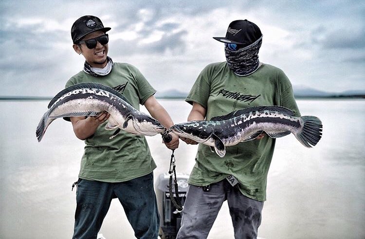 BTFCBKK's tweet photo. Giant Sneakhead Fishing Tour 1 day Trip !!#ルアーフィッシング 
#バラマンディ 
#ビッグベイト
 #釣りガール
 #釣果グラム 
#トーマン 
#釣りツアー 
 #アウトトラック 
#ガンクラフト 
 #fishing 
#ジョイクロ 
#タイ 
#thailand 
#outdoorlife  
#釣り 
#fishingtour #bestthailandfishingcharter https://t.co/NOqmRATW6P