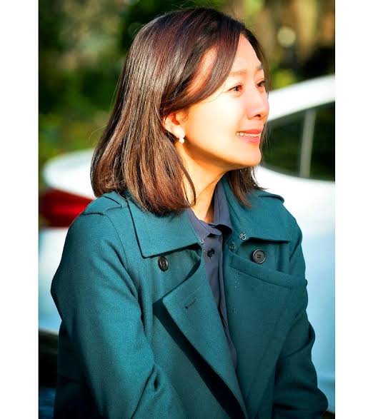 Хи э. Хи э. Kim hee-ae. Kim hee ae в молодости. Хи э.