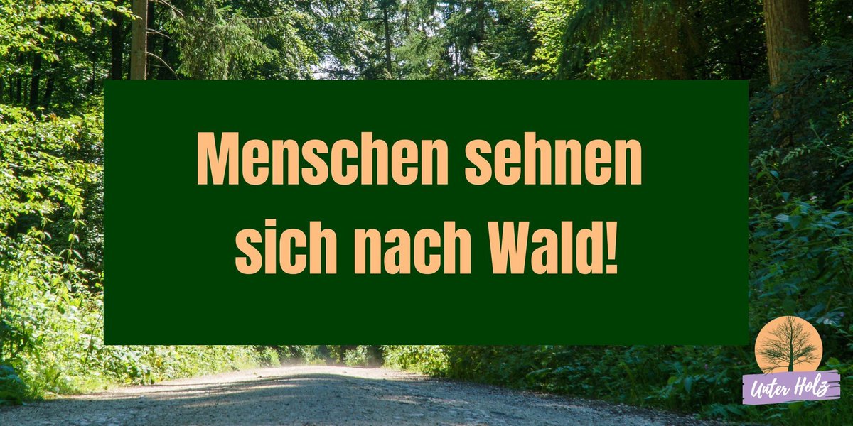 ifpmuenchen's tweet photo. Schon in der Antike war der Wald ein prominentes Gegenstück zur städtischen Welt. Unsere Volos #v18ifp wollten wissen, warum das auch heute noch so ist und haben nachgefragt bei @PhilosophQuarch. Mehr gibt es bald im “Unter Holz”. @FrauGamperl @haas_mic @diskomanni @C_Stiegemann https://t.co/UNTkX7nzhn