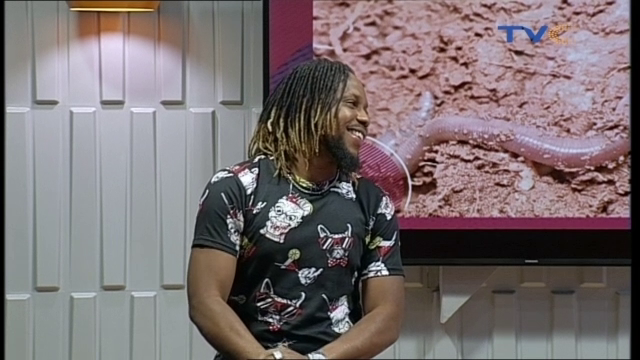 TVCconnect's tweet image. Let’s take a quick trip down memory lane as we talk about 5 Sweet Childhood Memories. #dailytopic 

* Killing earthworm with salt.
* Close the fridge door slowly to see when the light goes off.
* Acting film with friends under the bed