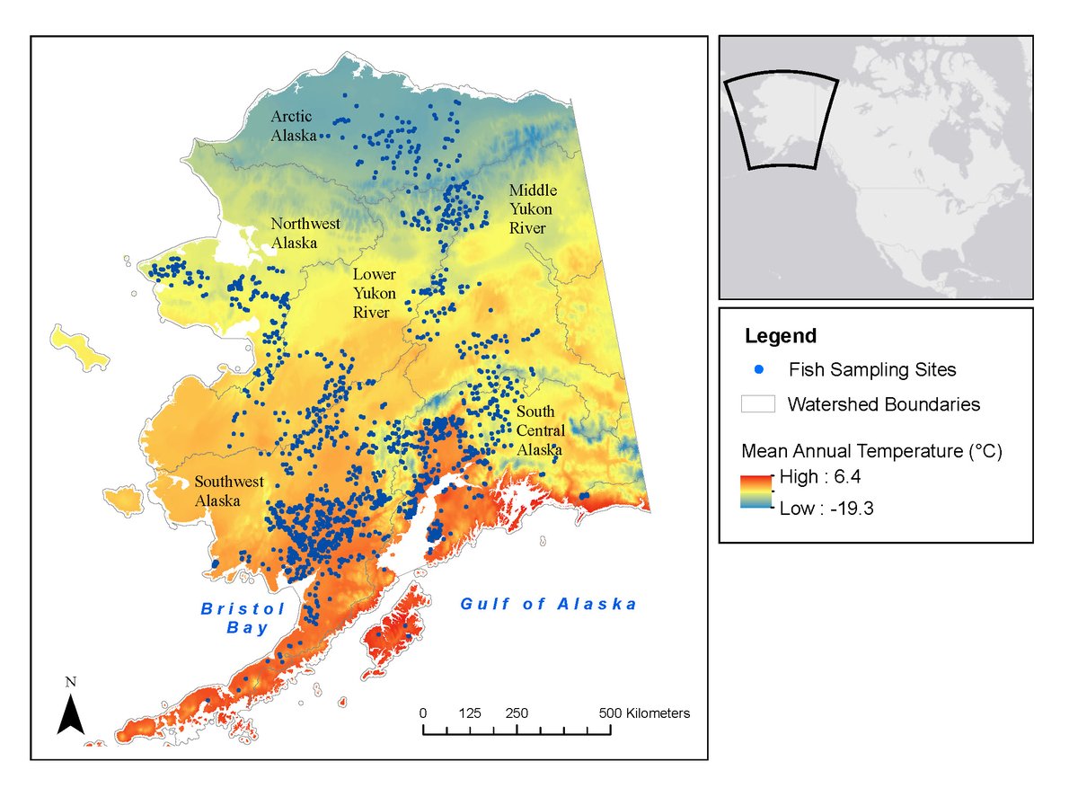 Excited to share our new research from my PhD thesis looking at how co-occurring environmental changes are related to Alaskan stream fishes with  @C_MantykaP  @Sharmalab  https://onlinelibrary.wiley.com/doi/abs/10.1111/fwb.13569 (Thread 1/6)