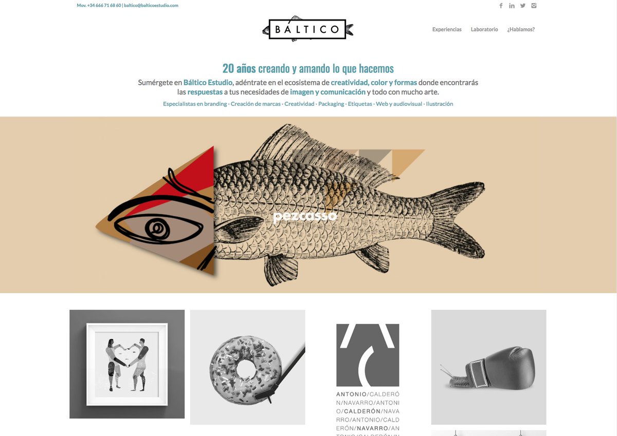 Báltico Estudio tweet media