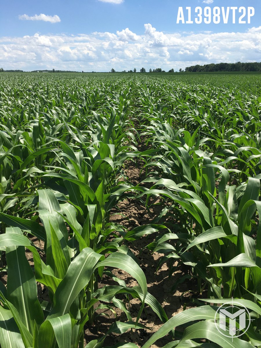 Mission Seed Solutions tweet media