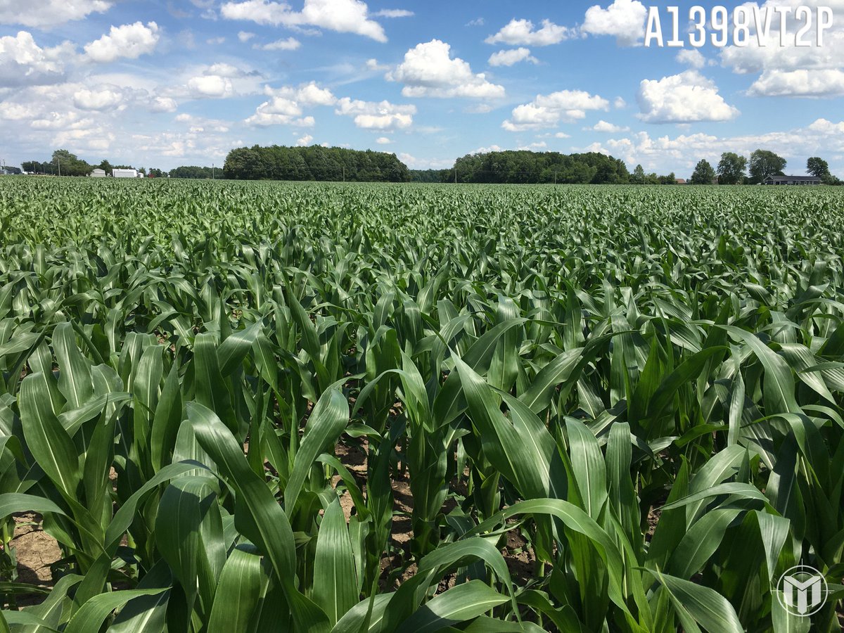 Mission Seed Solutions tweet media