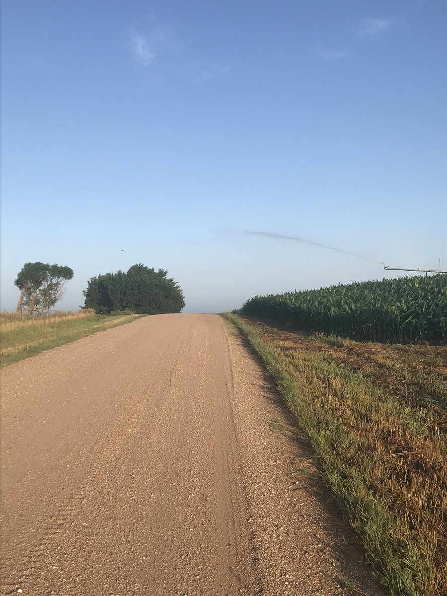 farmgirlnextdr's tweet photo. People who get mad about pivots watering the road have obviously never gone on a run 🏃🏻‍♀️ in Nebraska in July... #thatwasnice https://t.co/0M51WXTahd