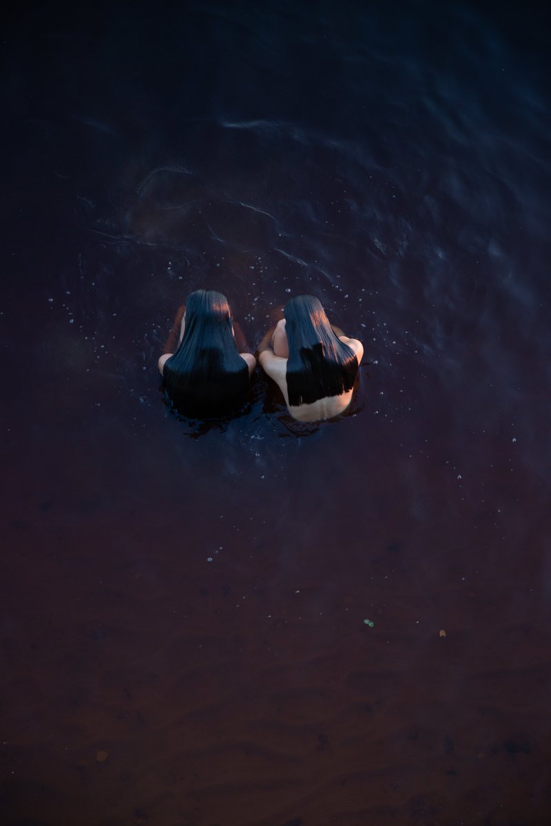 Hasselblad tweet media
