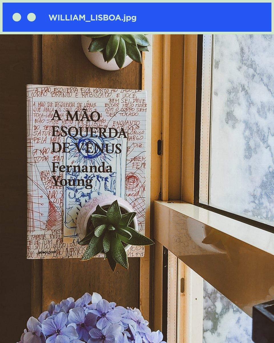 AboutChicos's tweet photo. “Descobri que muitas coisas que antes eu achava que era meu sonho de vida,

percebi que na verdade eles não eram tão importantes

e estava perdendo tempo correndo atrás de coisas que na verdade eram um capricho” https://t.co/iisOsrnX1w