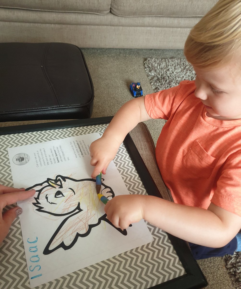 Hannah_wright0x's tweet photo. @southwalneyinf Isaac cant wait to join the sparrows in September and has had fun colouring Sammy Sparrow in today 💙💛 https://t.co/AZXWX2fMv8