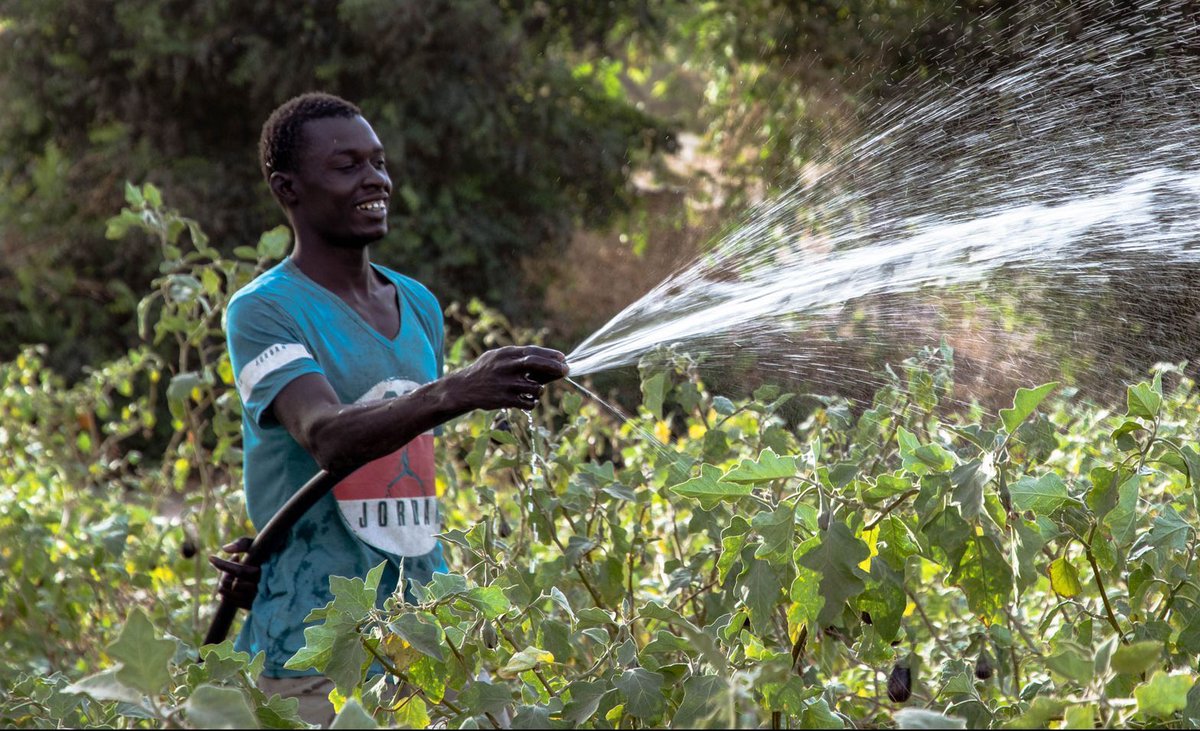#DYK that you can power a water pump with our Solego Solar Home System? Simply Plug&amp;Play to provide water for field irrigation or poultry farming ☀️💧
#solarworx #solego #paygo #energy #renewableenergy #climatechange #powerafrica #reliableenergy #sustainable