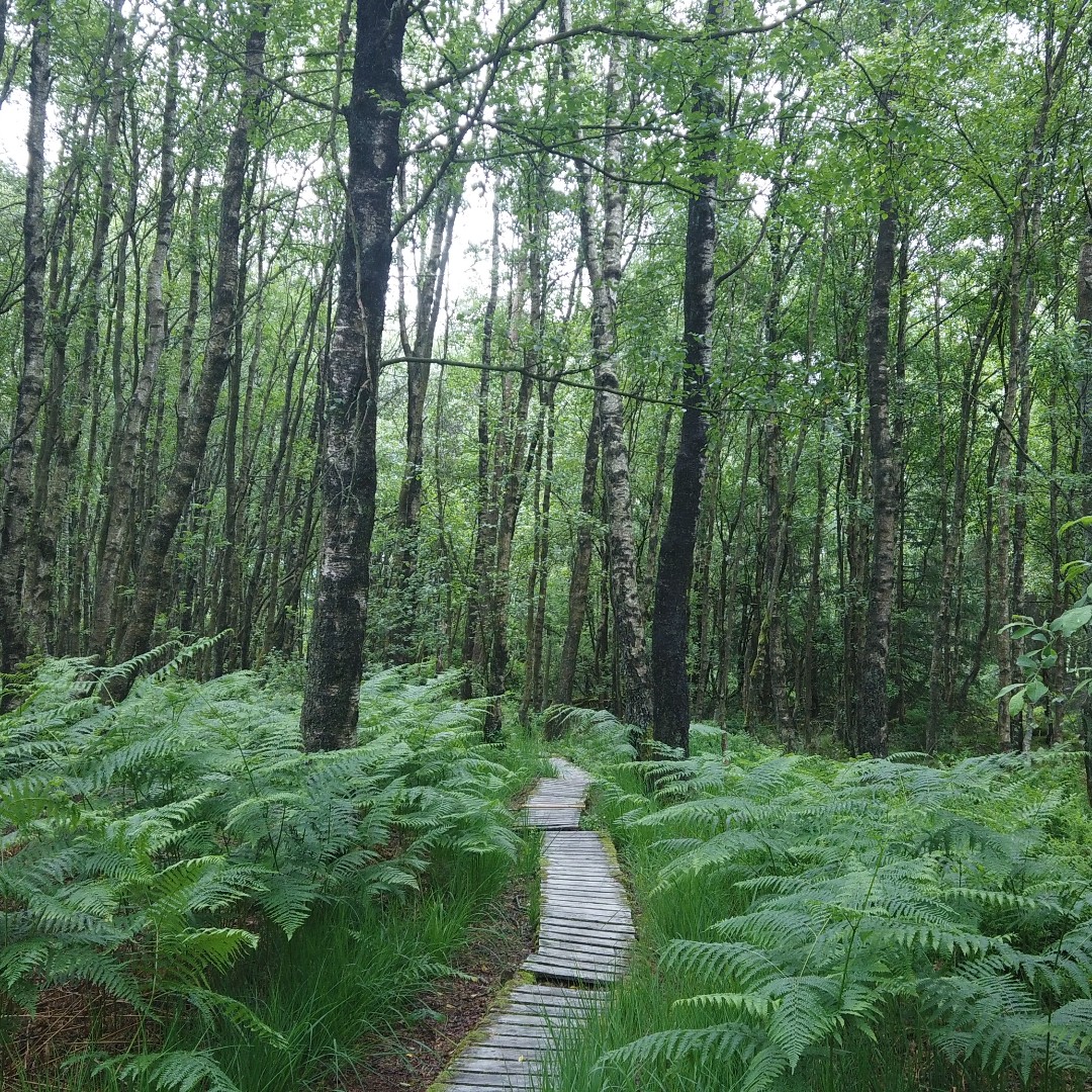 GazorTrail's tweet photo. https://t.co/ex6oZt2xEI #exploring #valley #backcountry #bush #backpack #hiking #camping #tent #walking #camping #trails #trailgazor #views #amazing #nature #forest #village #germany #belgium #border https://t.co/3du8yqw0xk