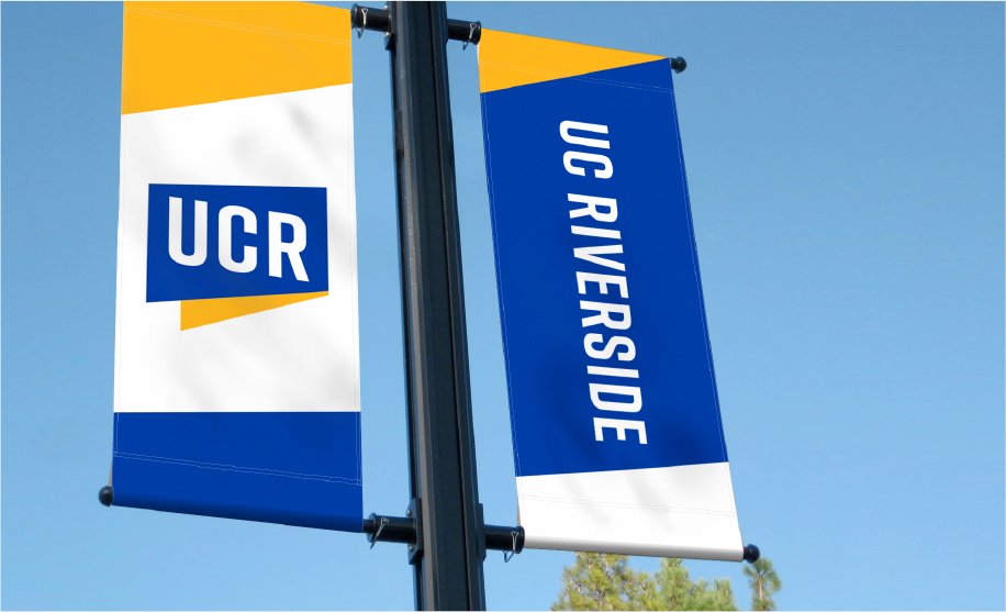 Joe Bosack & Co. tweet media